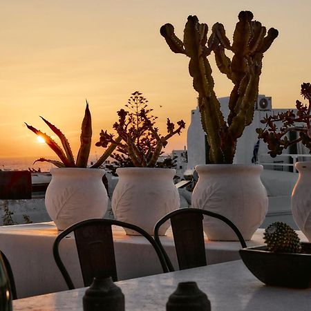 Elaia Luxury Suites Mykonos Mykonos Town Экстерьер фото